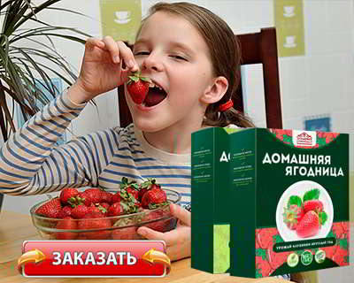 Домашняя ягодница купить на официальном сайте