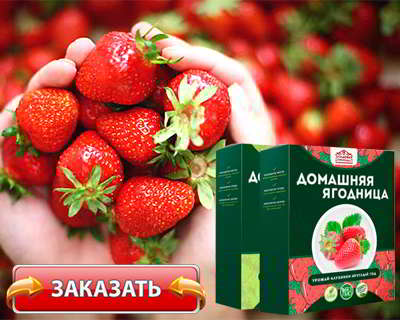 Домашняя ягодница купить