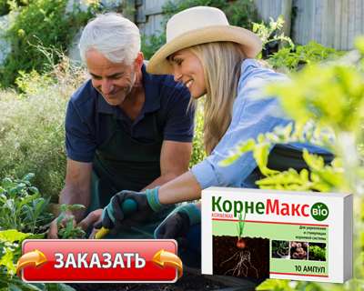Средство КорнеМакс купить по доступной цене.